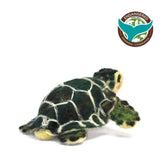 Green Australian Sea Turtle - Lanart Alpaca