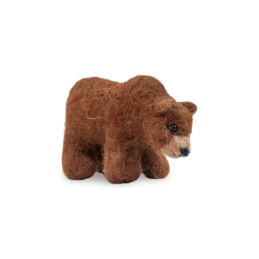 Grizzly Bear