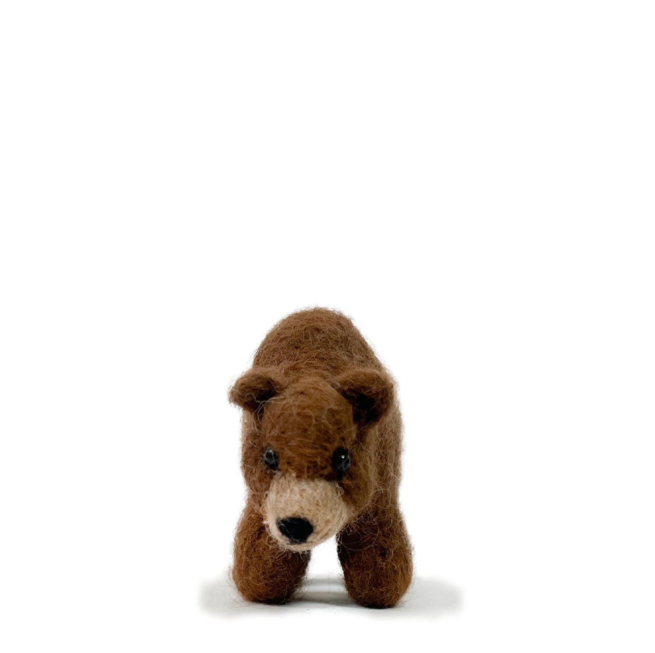 Grizzly Bear