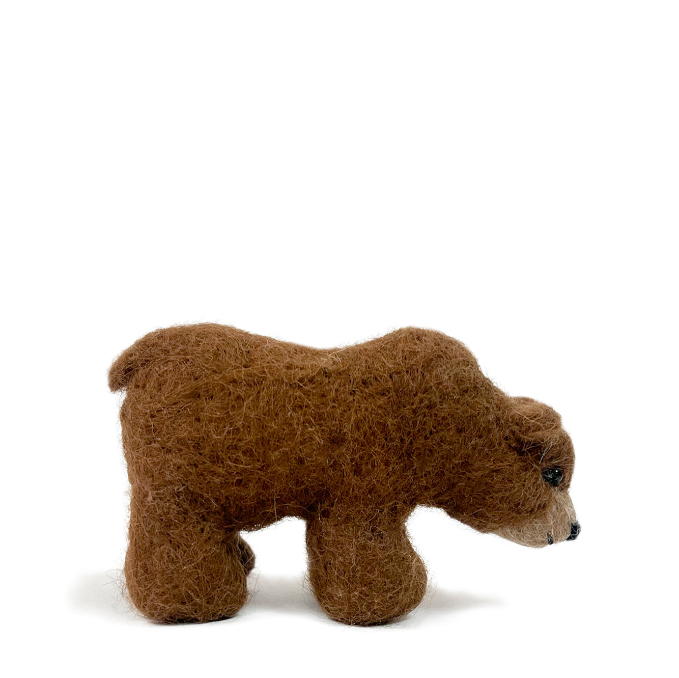Grizzly Bear