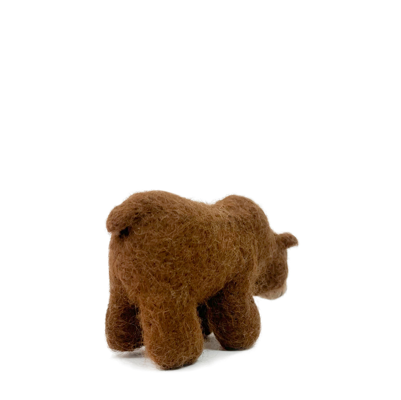 Grizzly Bear