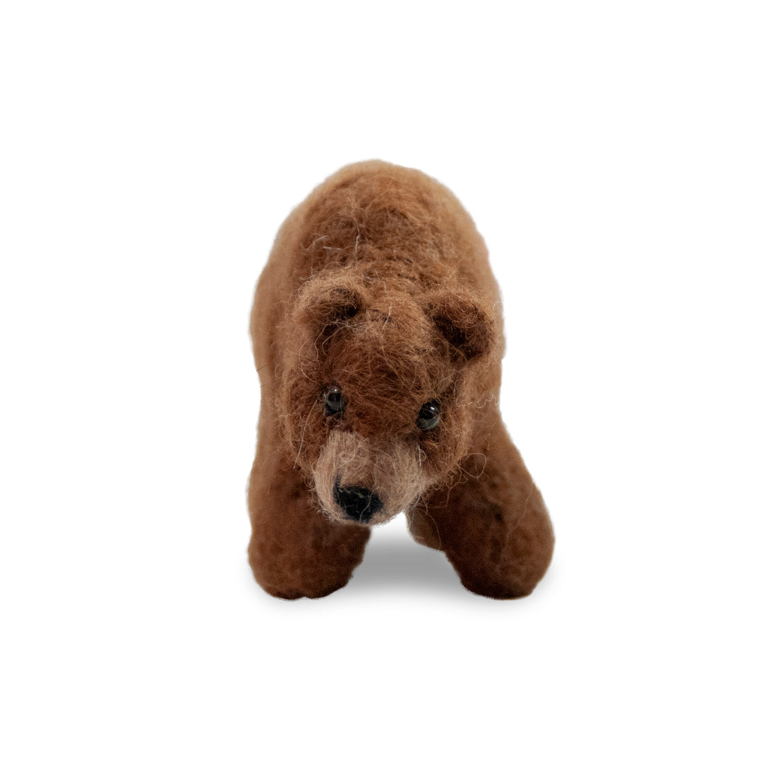Grizzly Bear