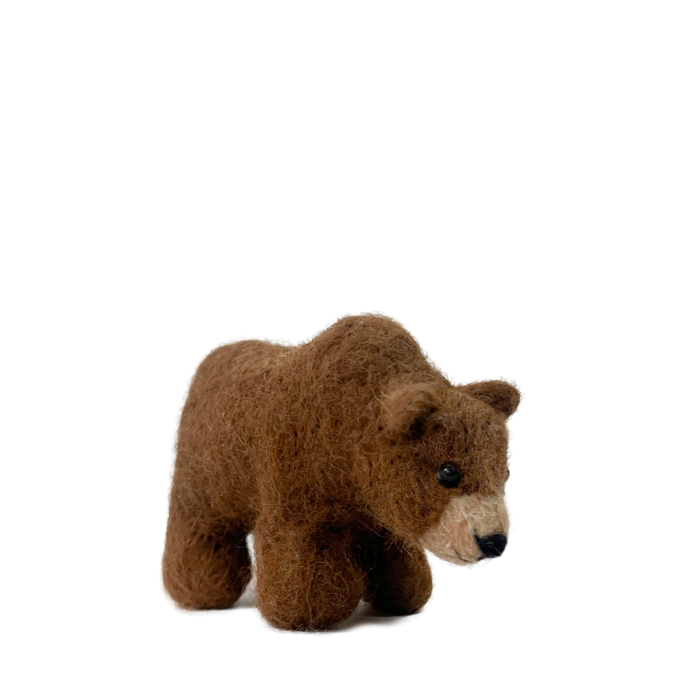 Grizzly Bear