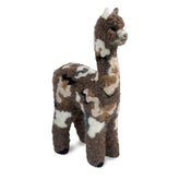 Herdsire Huacaya 12" - Lanart Alpaca