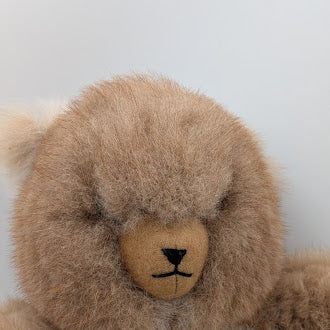 Big Brown Bear — Studio