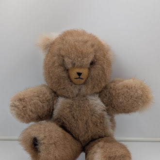 Brown teddy bear on a white background