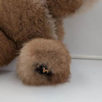 Big Brown Bear — Studio