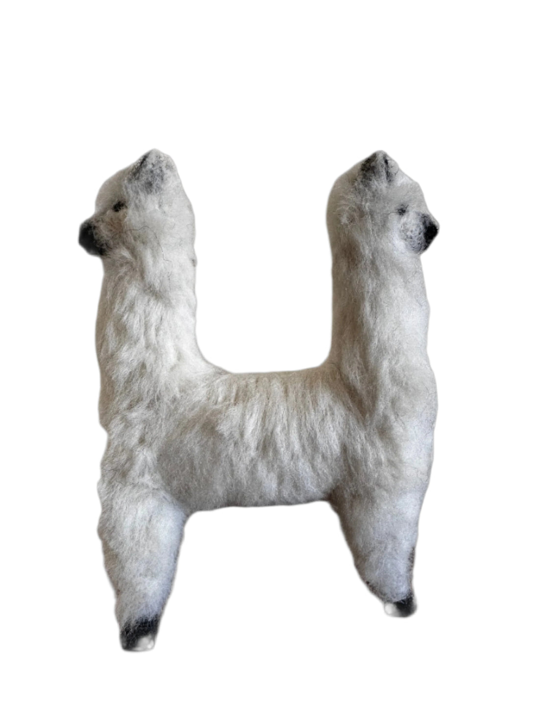 PRE-ORDER! Two Headed Alpaca
