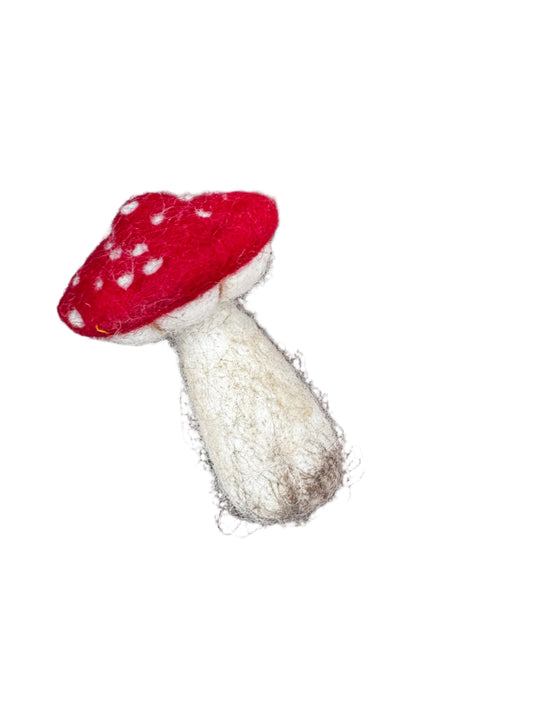 COMING SOON! Shroom Friends: Felted Mushrooms