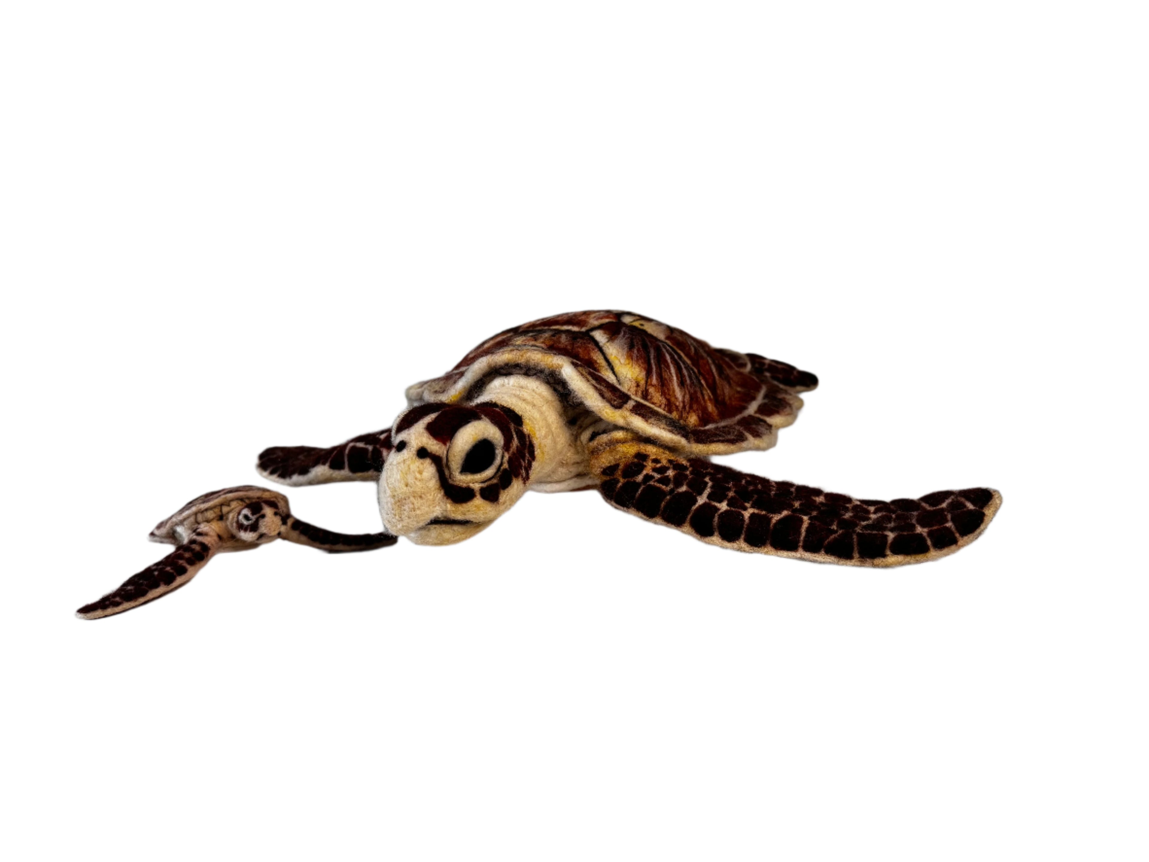 Grand Loggerhead Turtle Showpiece