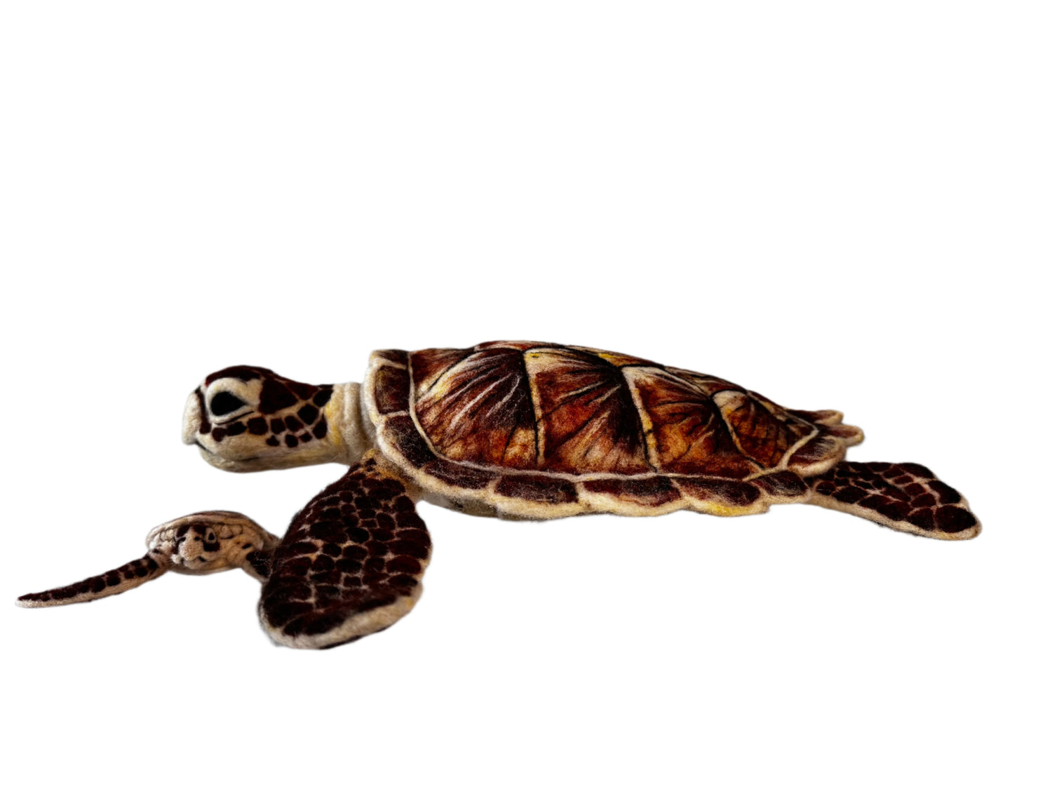 Grand Loggerhead Turtle Showpiece