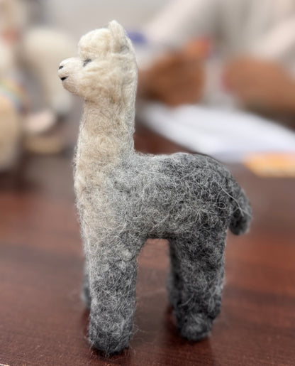 Cria Huacaya 5.5&quot;