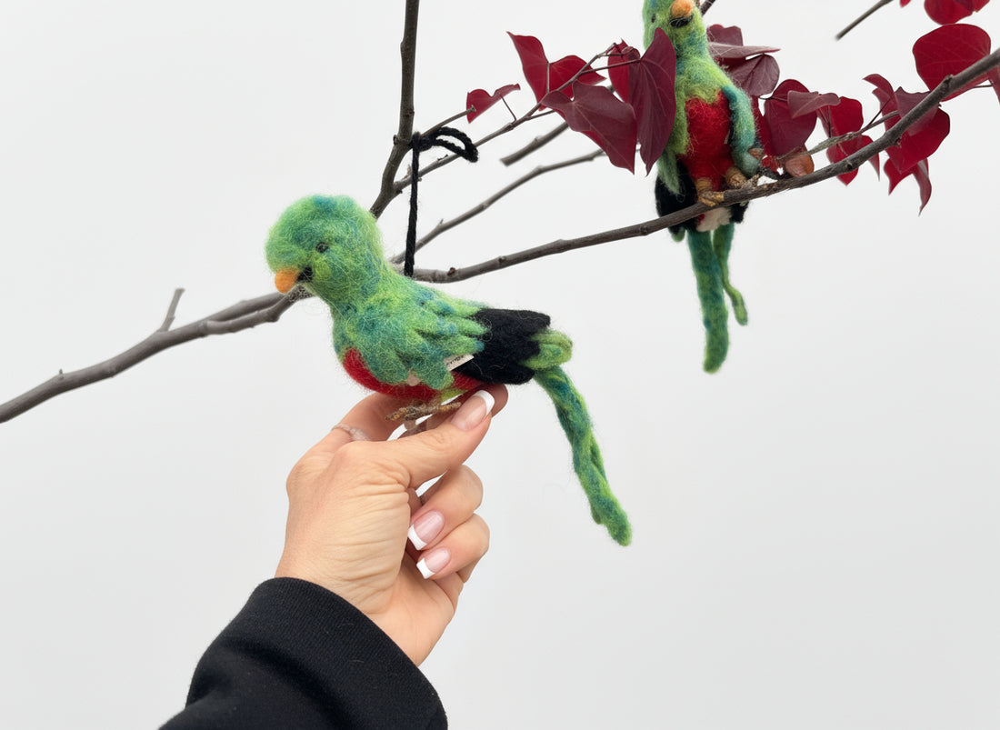 Quetzal Bird
