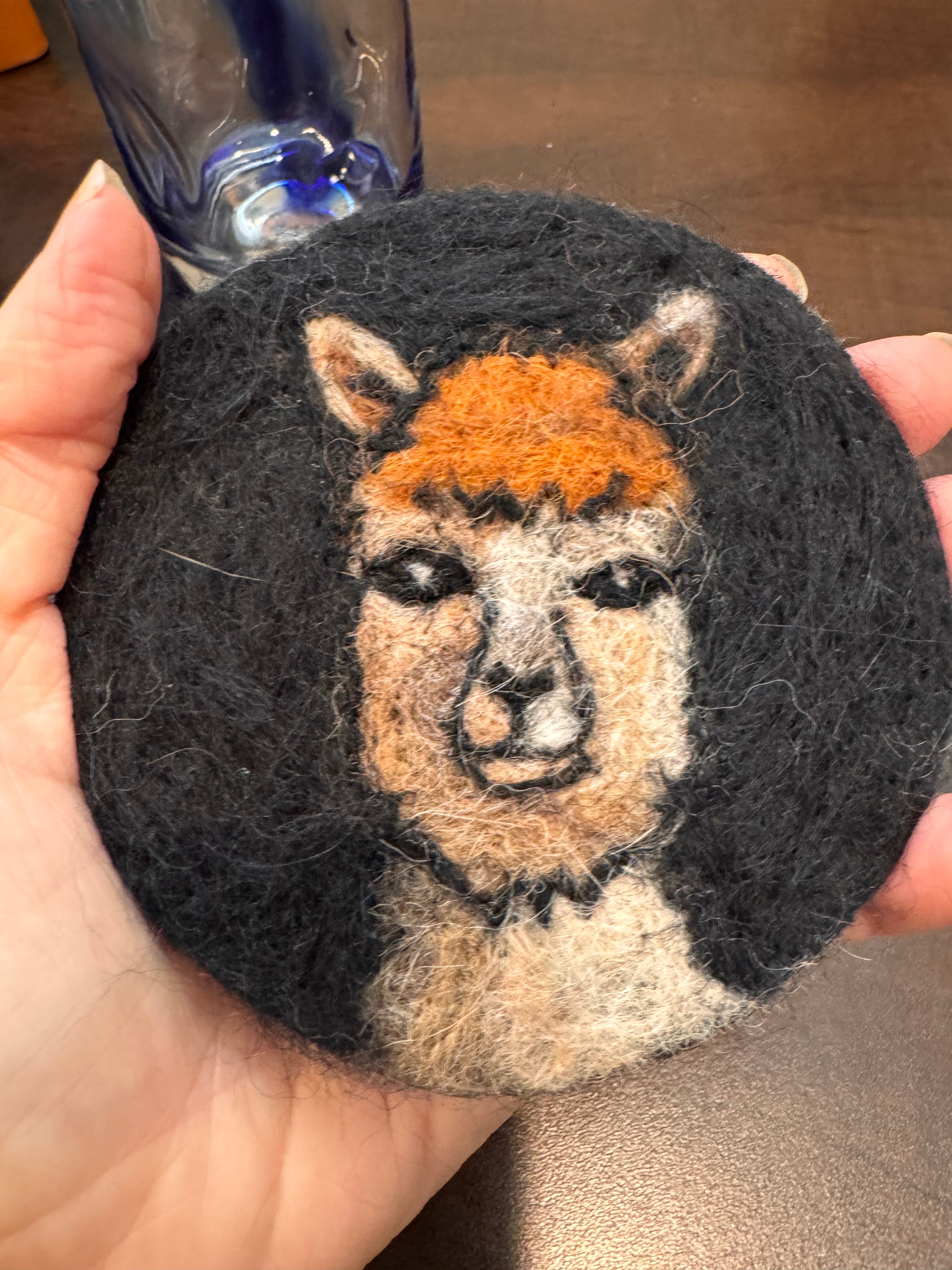 Alpaca Peek Coaster