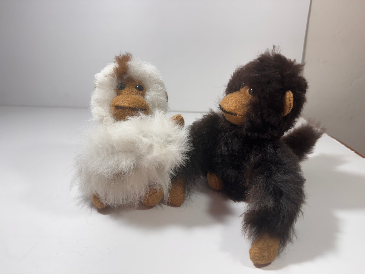 COMING SOON! Chico Monkey