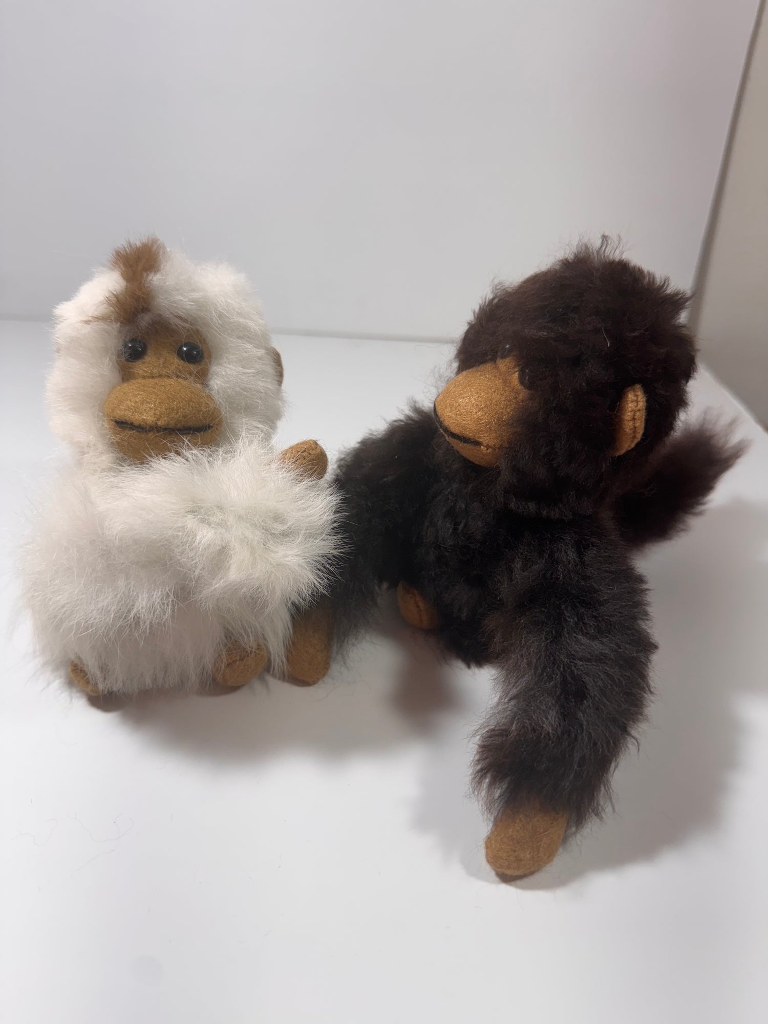 COMING SOON! Chico Monkey