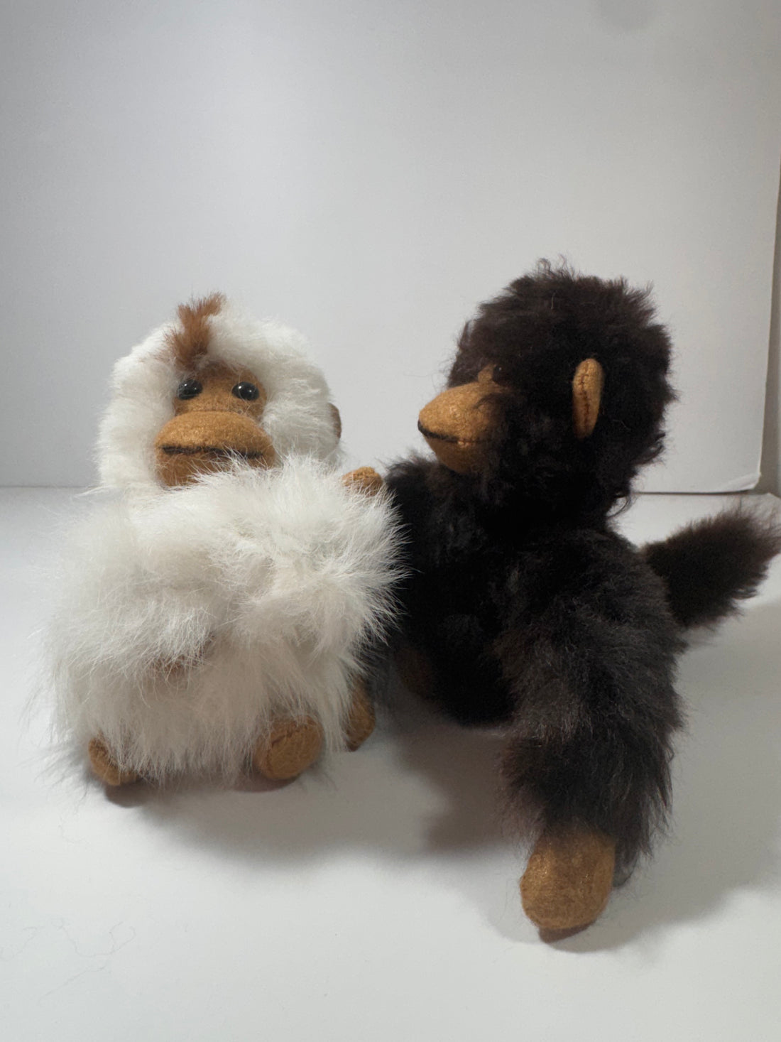 COMING SOON! Chico Monkey