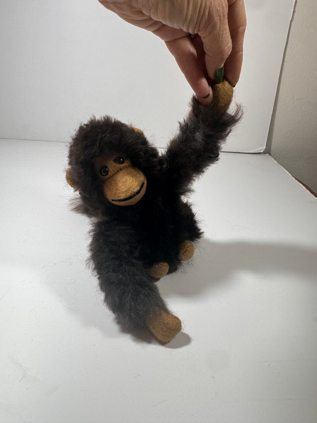 COMING SOON! Chico Monkey