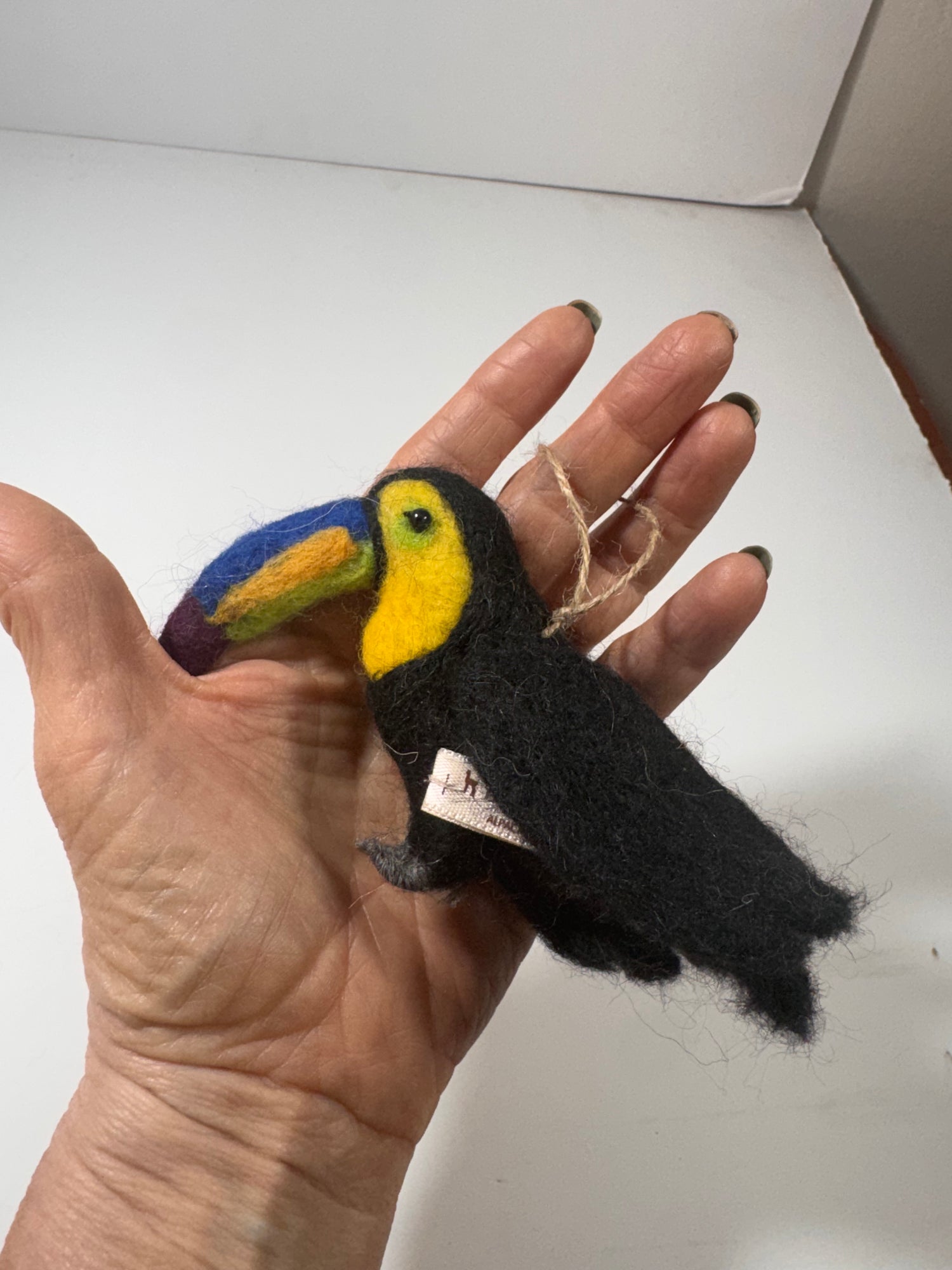 Toucan