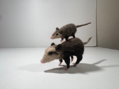 Mama Opossum &amp; Joey