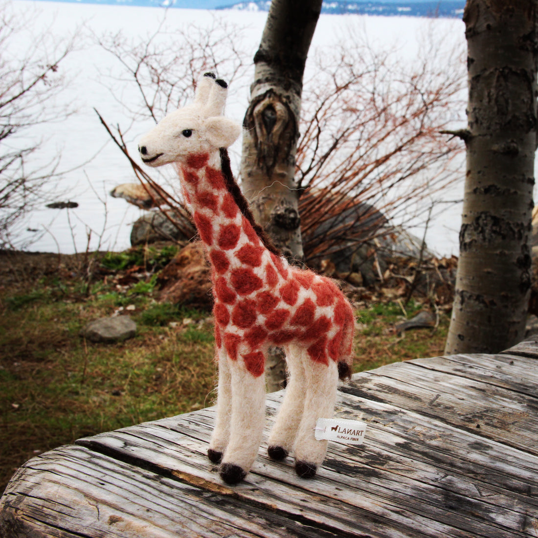 Giraffe
