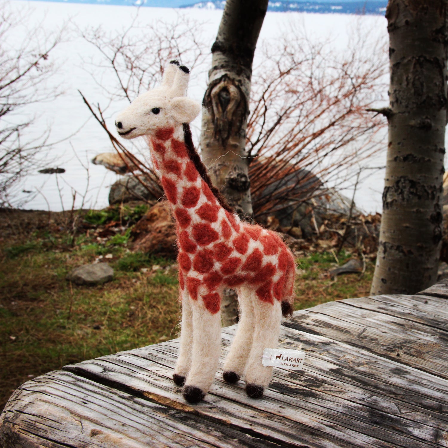 Giraffe