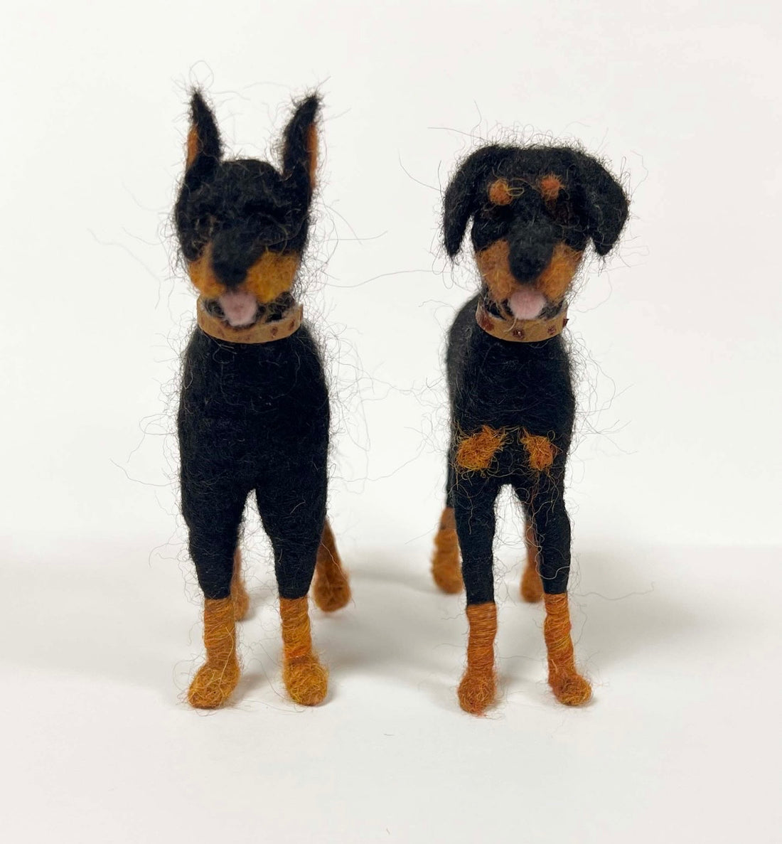 Doberman Pinscher Dog
