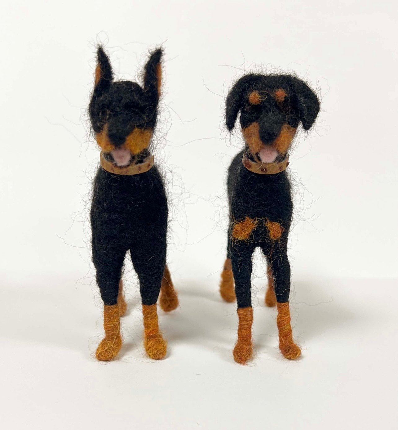 Doberman Pinscher Dog