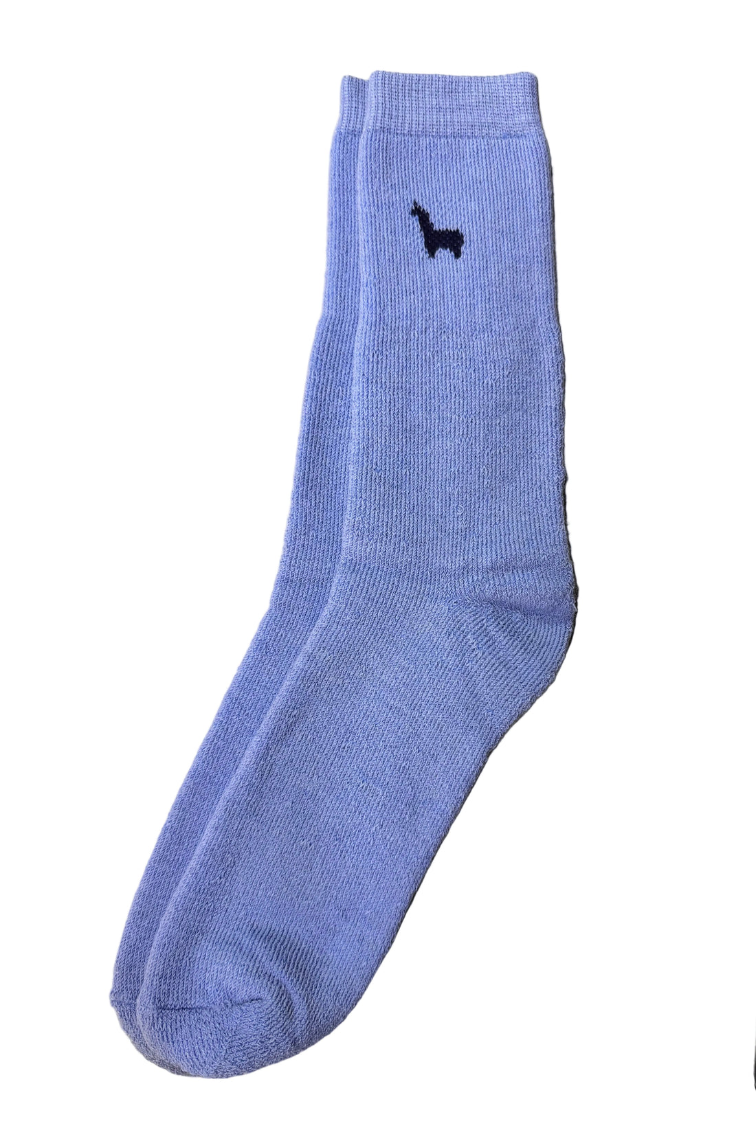 Hiker Socks Carolina Blue— Studio