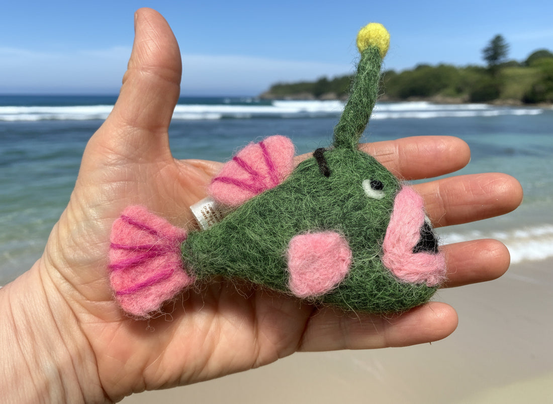 Clown Anglerfish