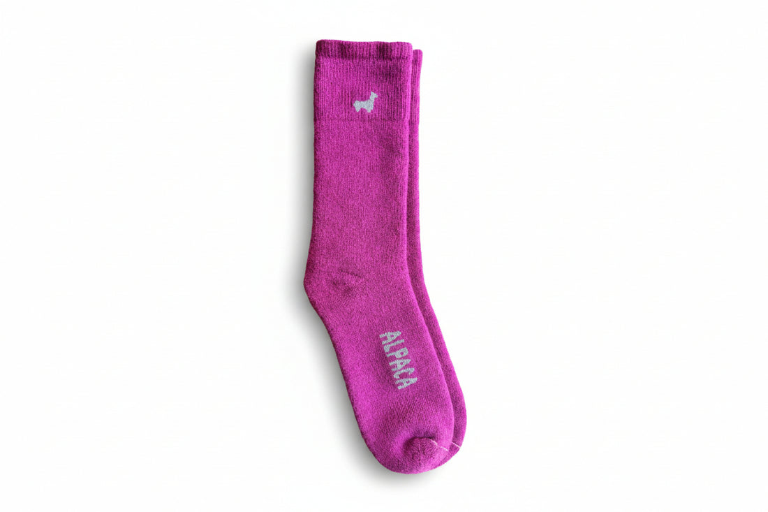 Everest Outdoor Alpaca Socks Peony