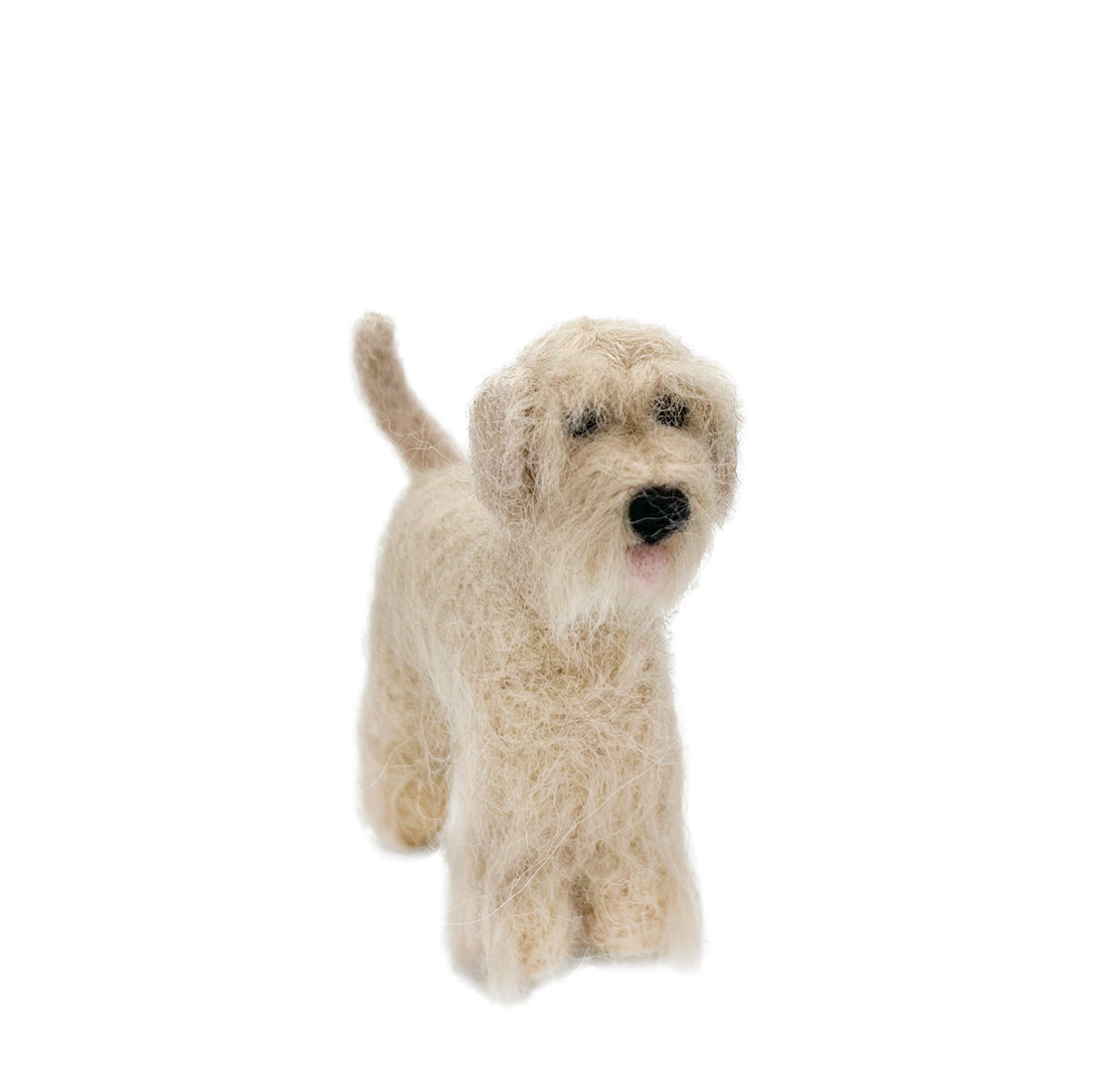 Irish Wheaten Terrier Dog