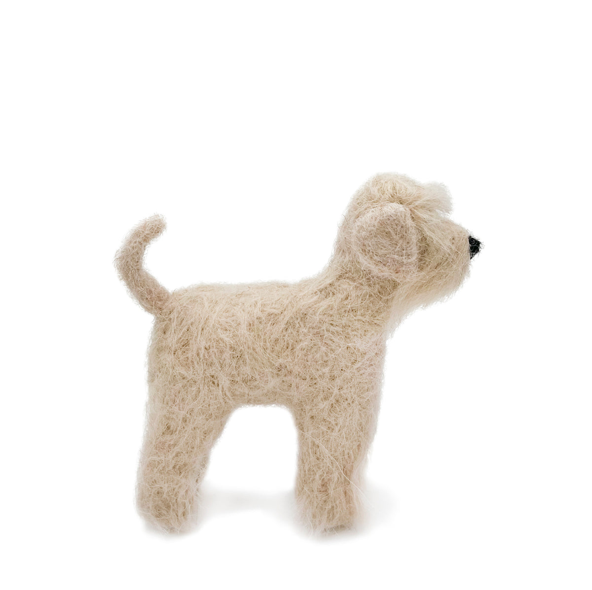 Irish Wheaten Terrier Dog