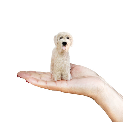 Irish Wheaten Terrier Dog