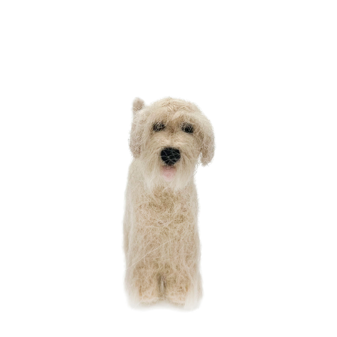 Irish Wheaten Terrier Dog
