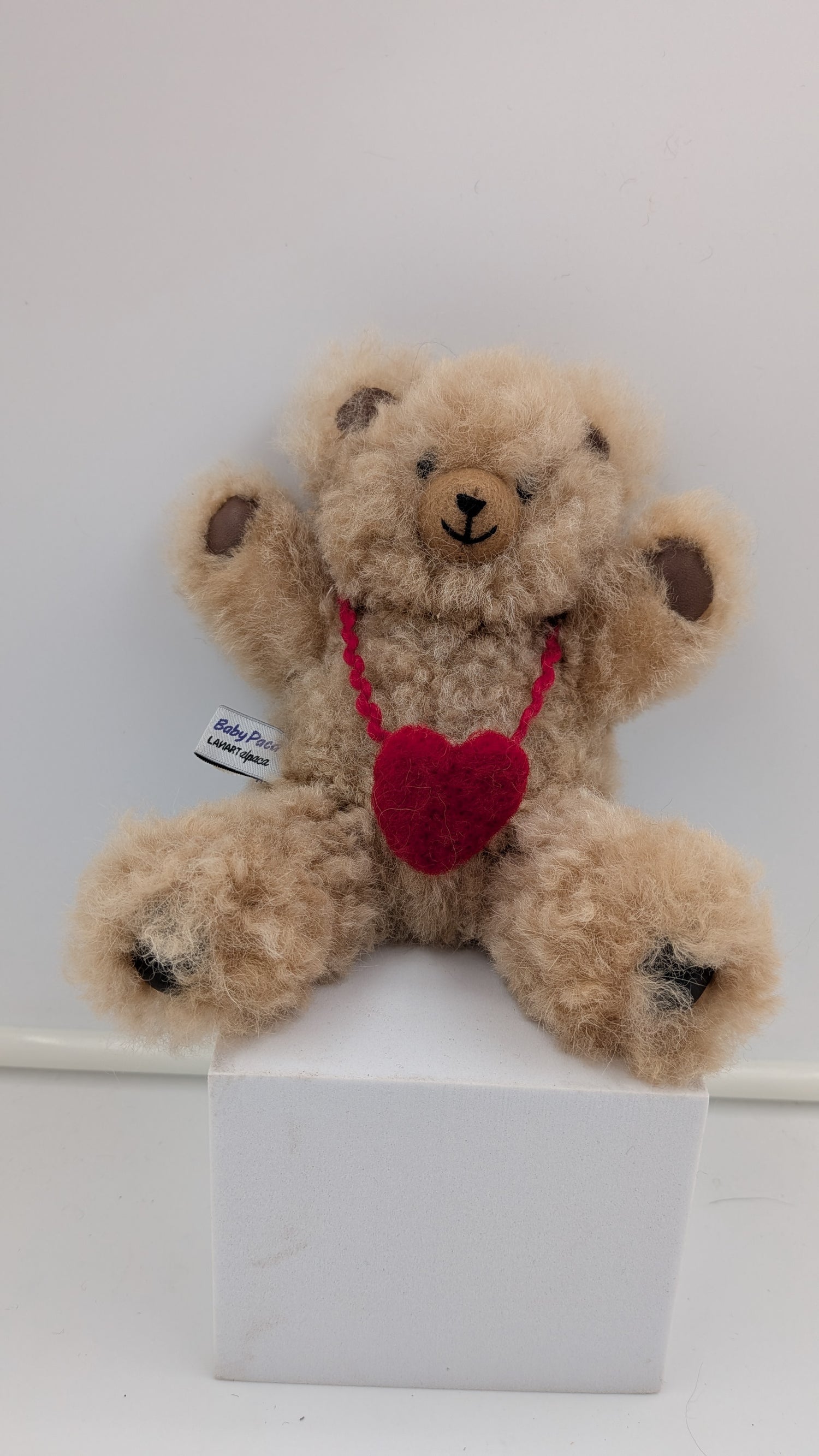 Teddy bear with a red heart and tag on a white background