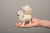 Person holding a small white great pyrenees dog.