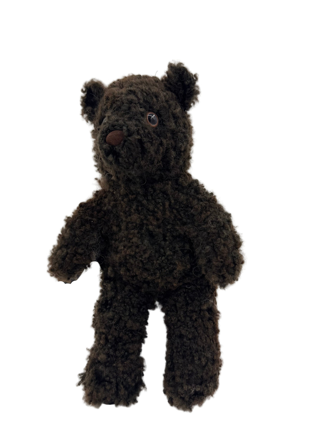 Merino Teddy Bear — Studio