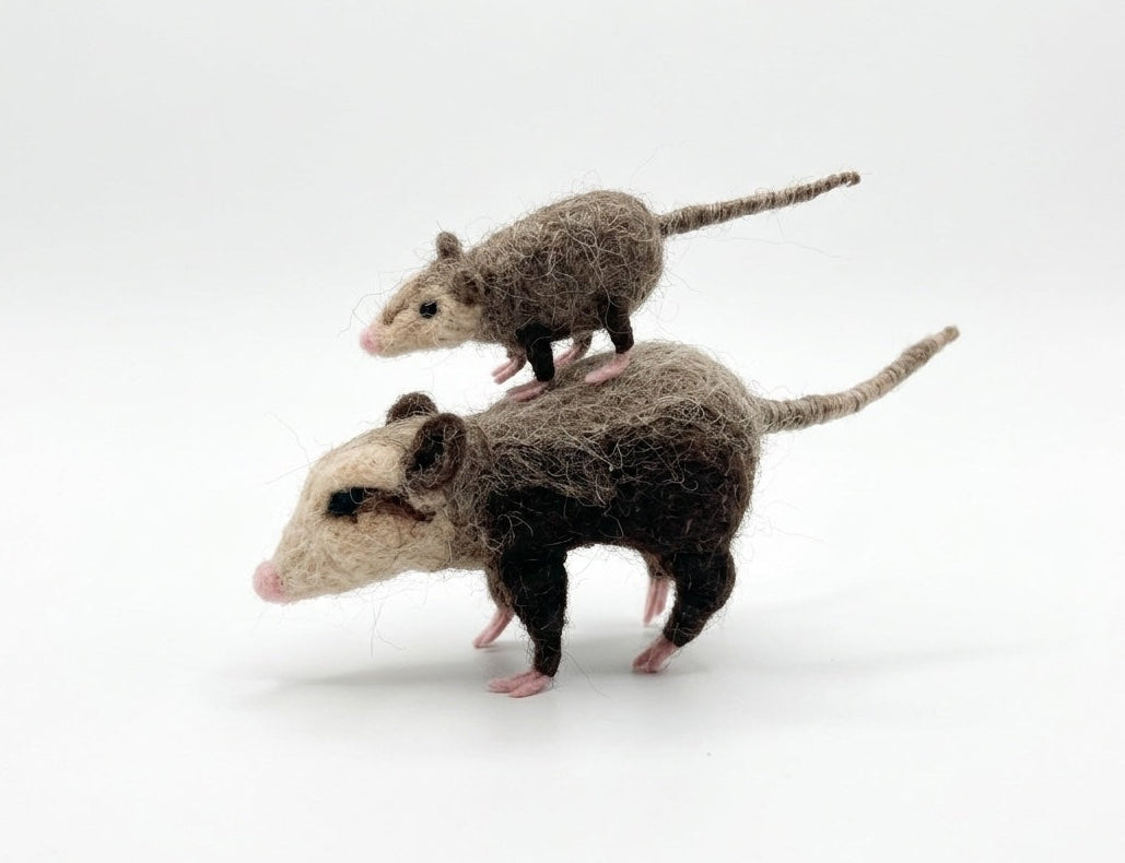 Mama Opossum &amp; Joey