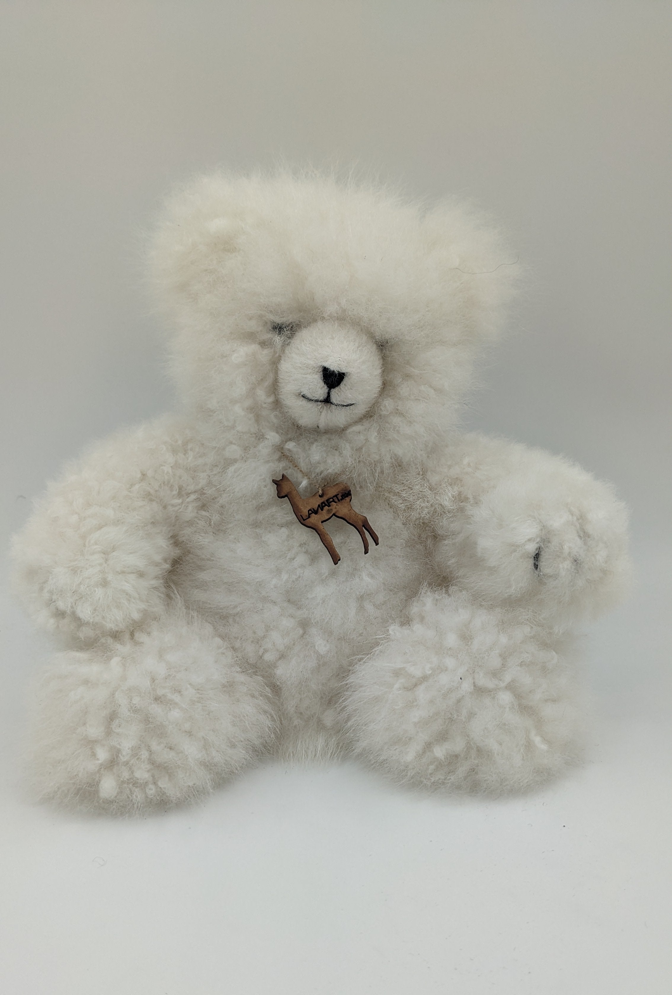 Polar Bear Paul — Studio