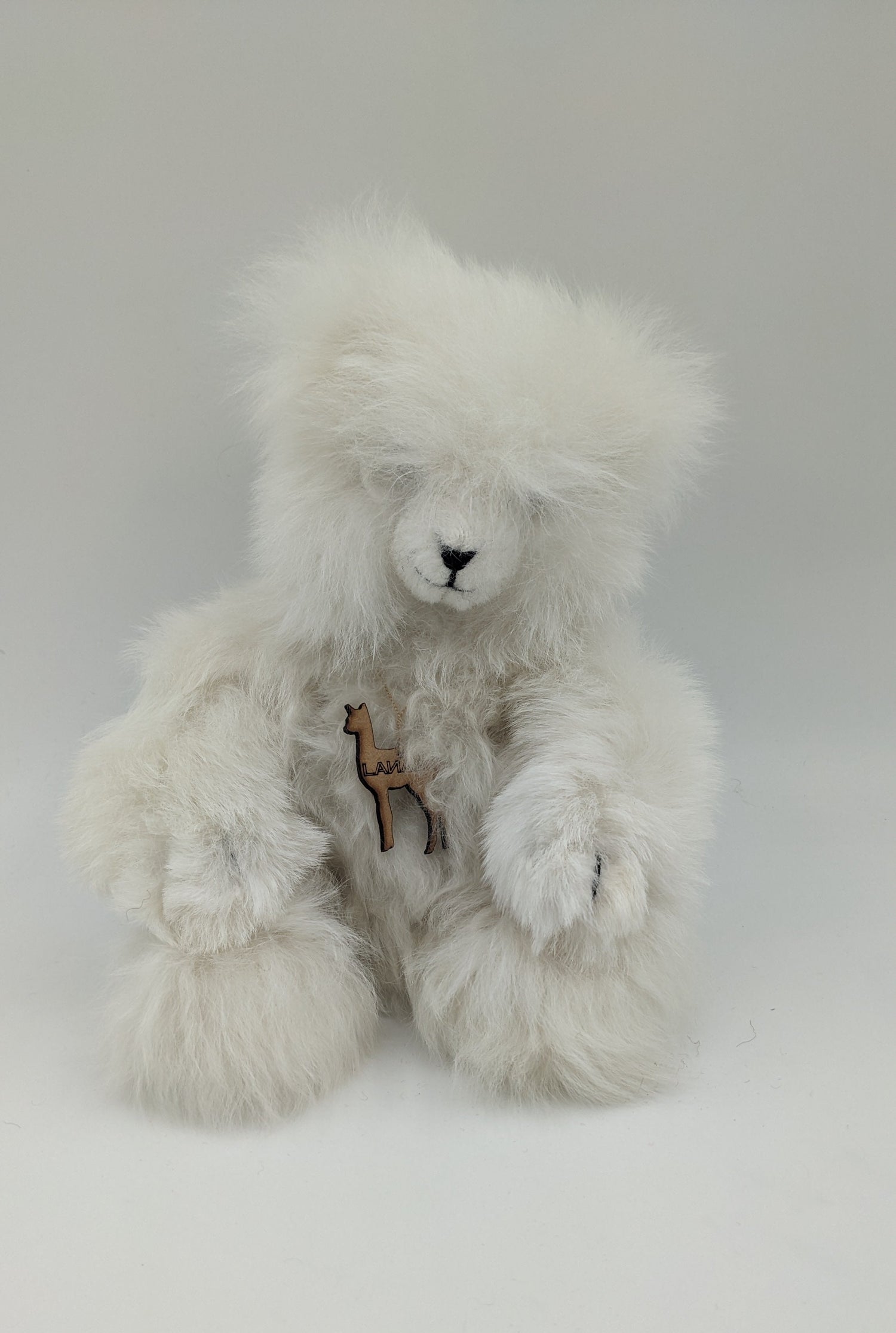 Polar Bear Paul — Studio