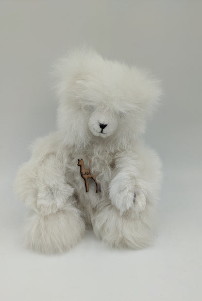 Polar Bear Paul — Studio