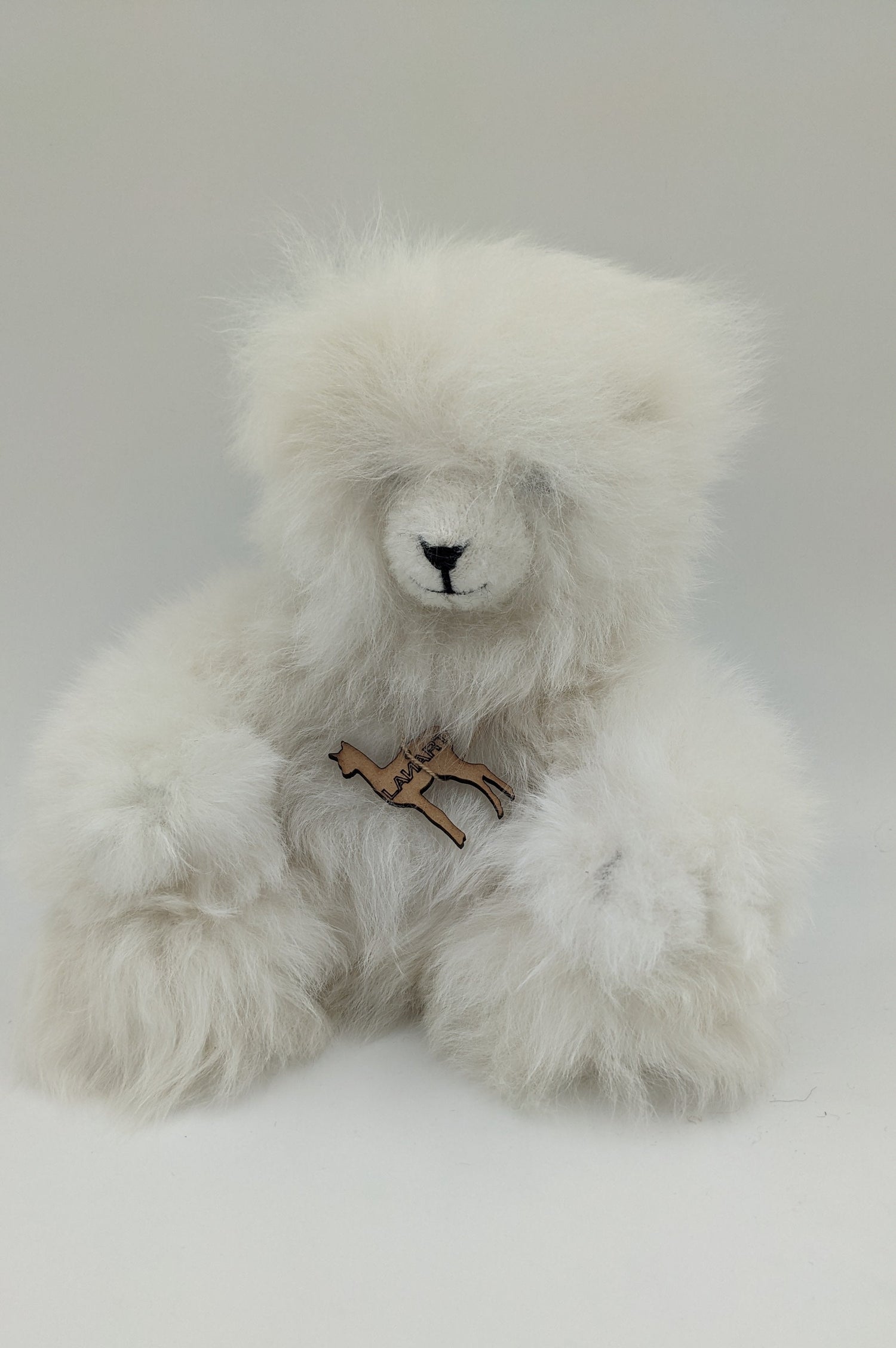 Polar Bear Paul — Studio