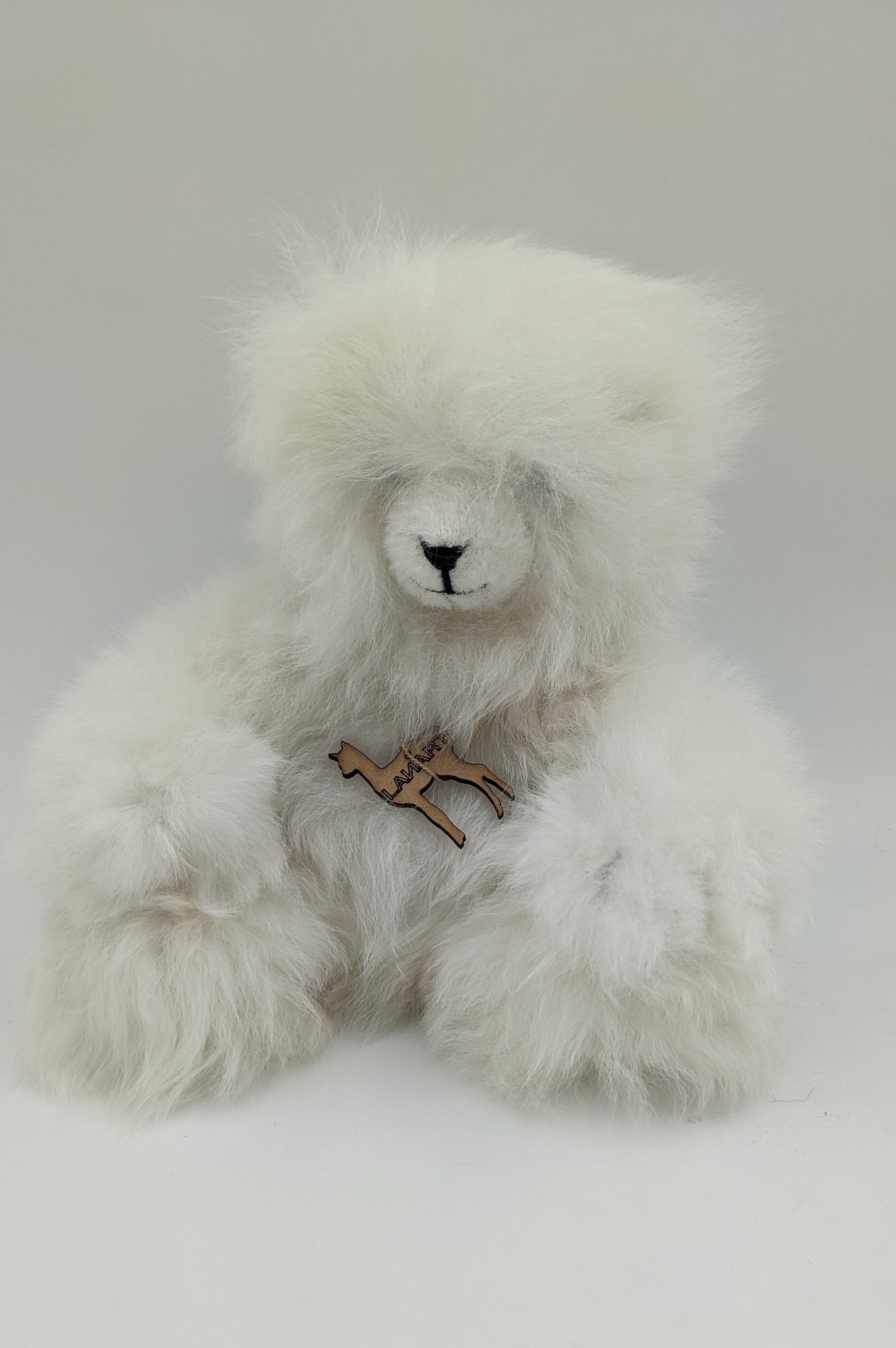 Polar Bear Paul — Studio