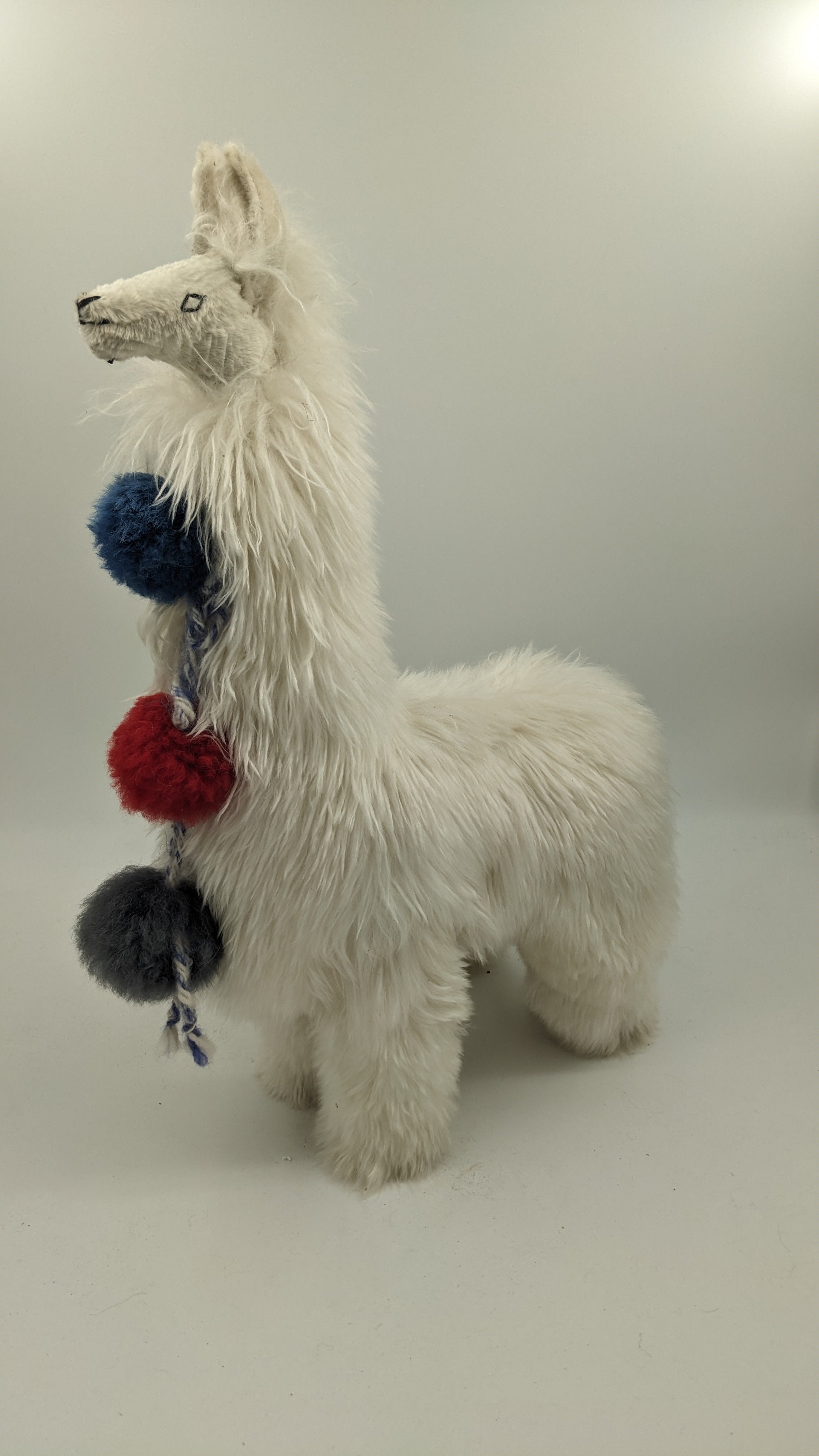 Llama Suri Alpaca 22" — Studio