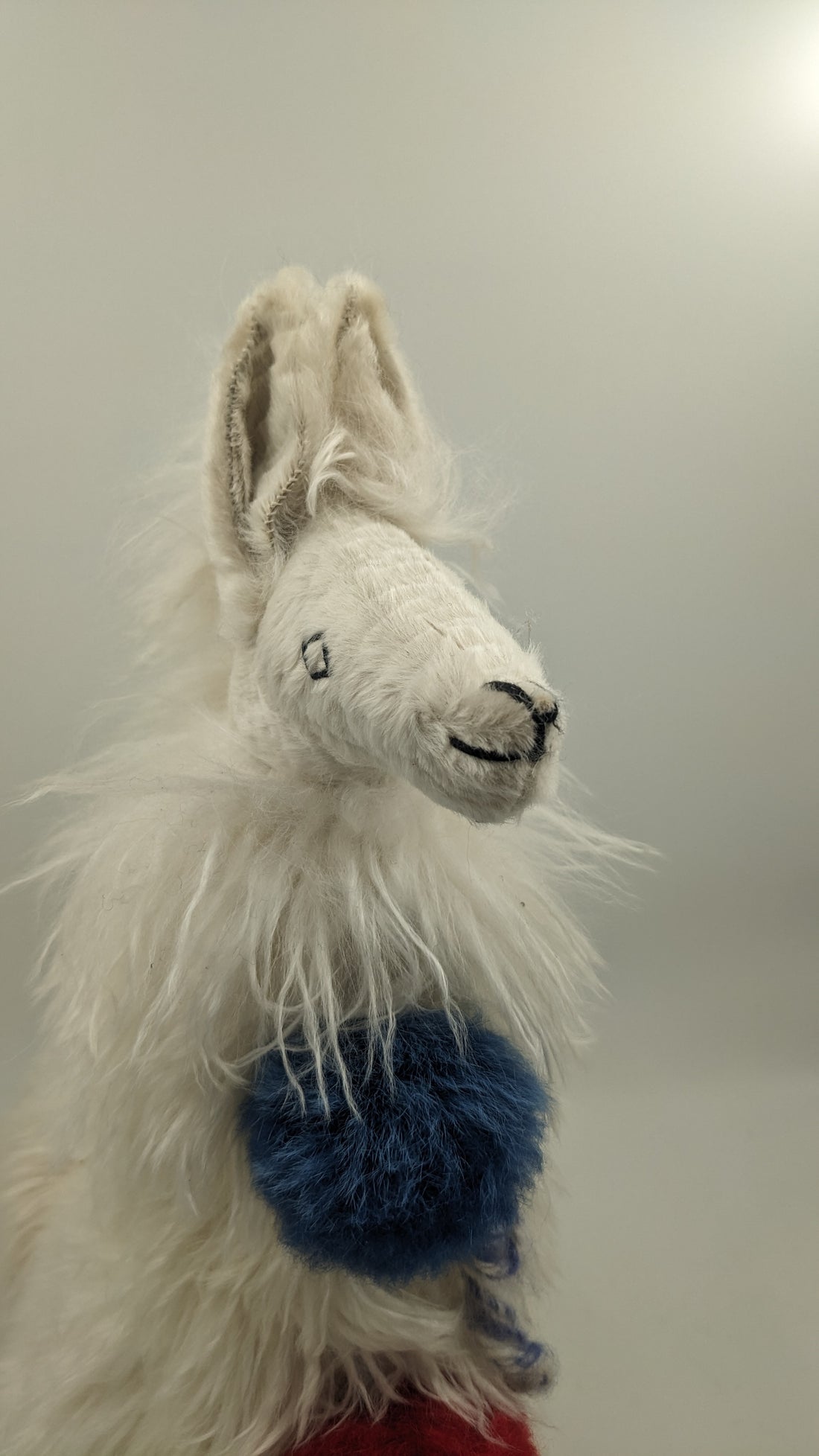 Llama Suri Alpaca 22" — Studio