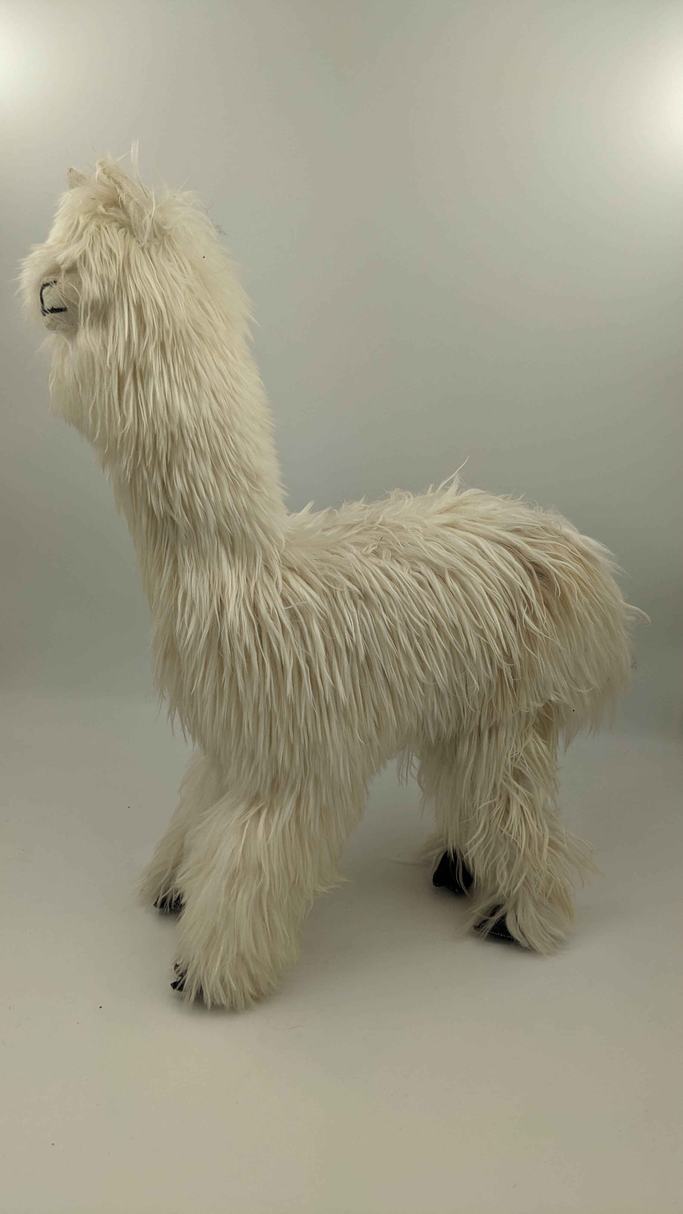 Heirloom Suri Alpaca 22" — Studio