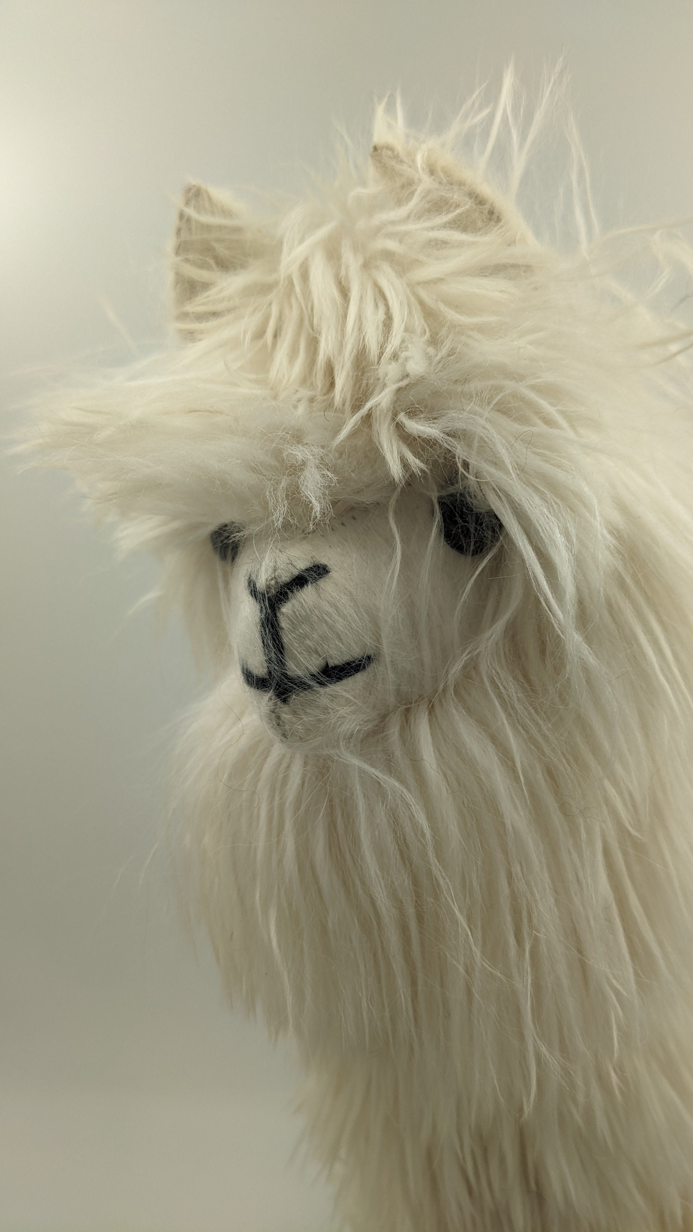 Heirloom Suri Alpaca 22" — Studio