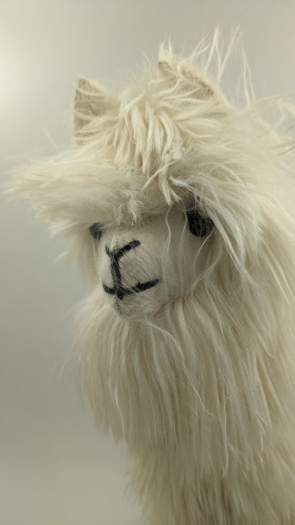 Heirloom Suri Alpaca 22" — Studio