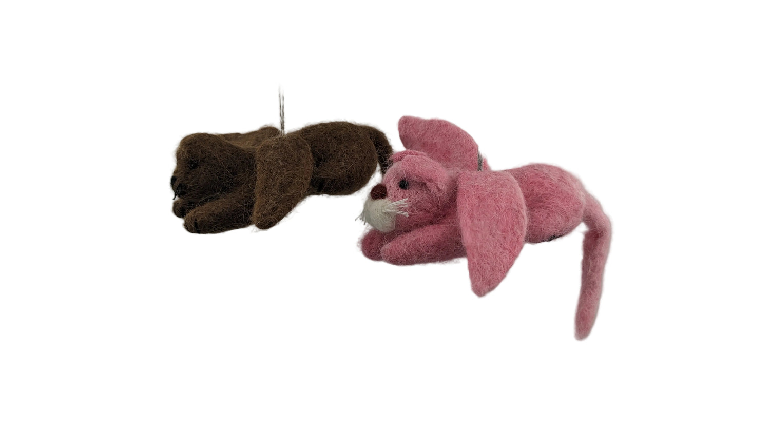 Angel Cat— Studio